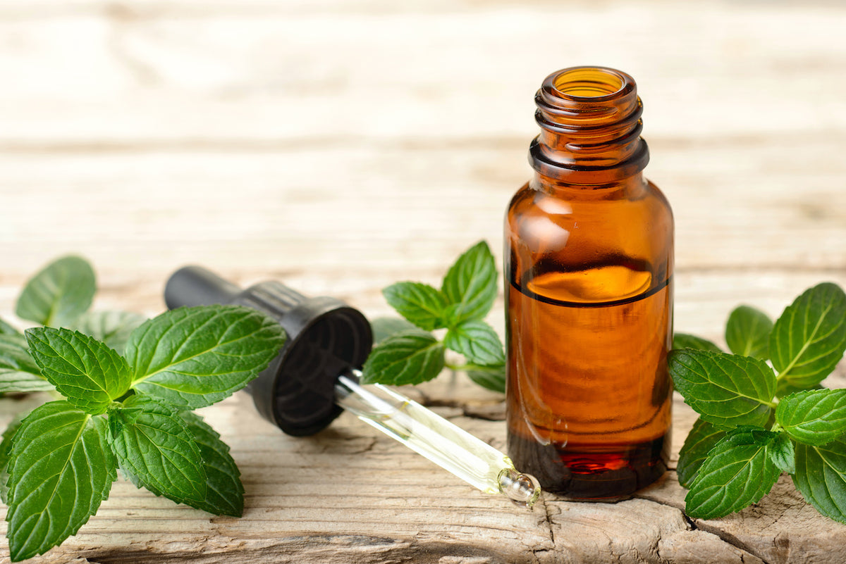 5 Essential Oils That You Must Have This Winter - Fitness Incentive