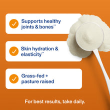 Pumpkin Spice Collagen Peptides