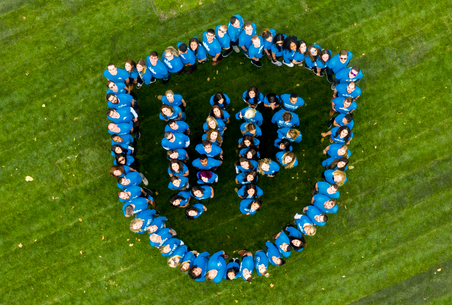 Team form VP logo